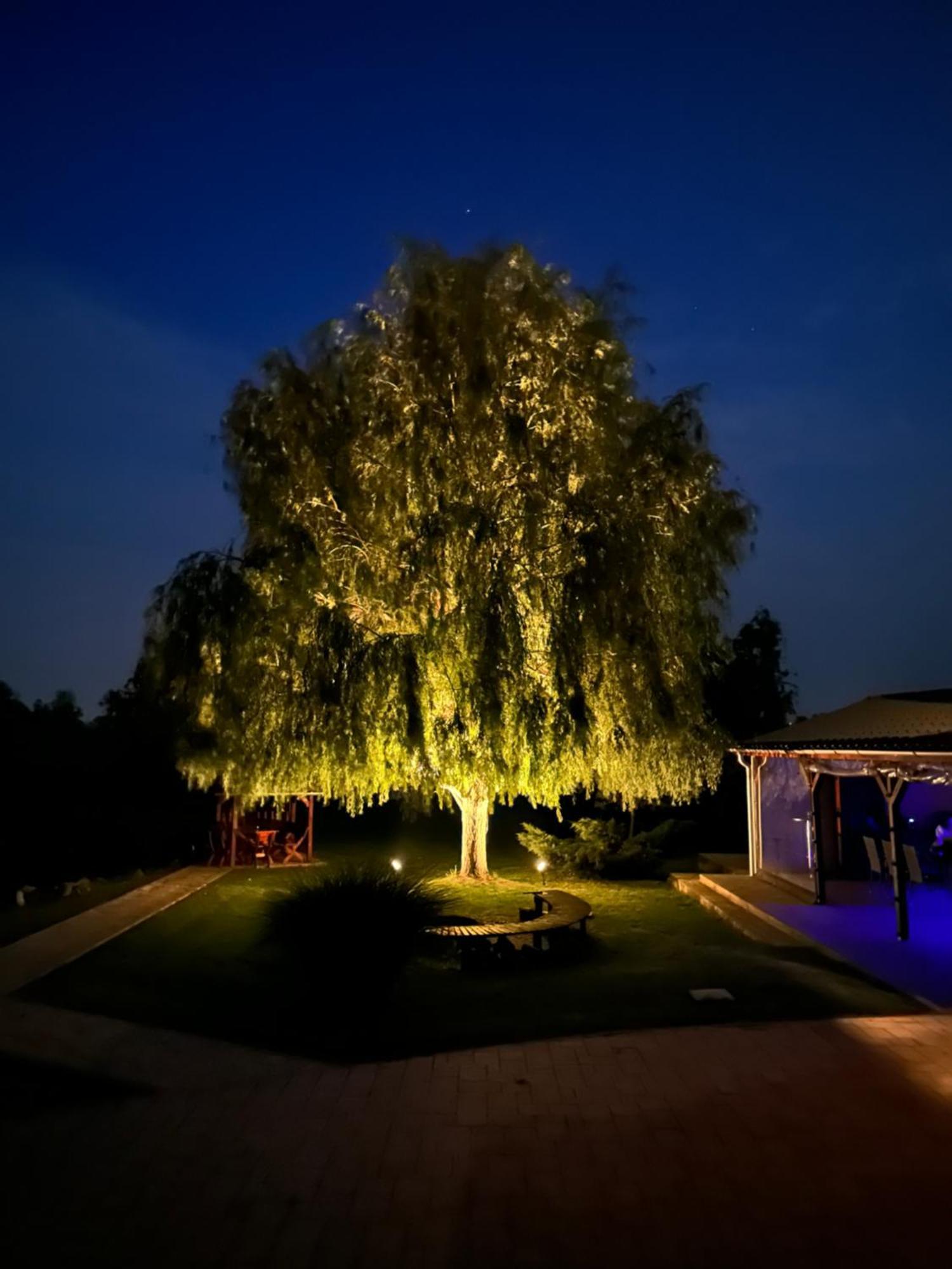 Battonya House 아파트 외부 사진